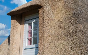 Dittons thatch roof disadvantages